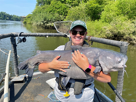 Blue catfish