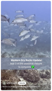 western dry rocks video short