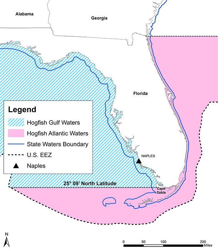 Map of closed hogfish Atlantic waters south of Cape Sable on Gulf and up the Atlantic coast to the Florida/Georgia state line