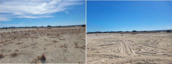 A coastal area with vegetation and debris. The picture on the left depicts the same area after debris and vegetation removal.