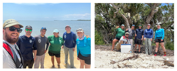 Shorebird and Sea Turtle Team Monitoring