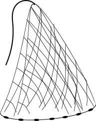 Cast net