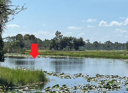Aerator on one of the Marl Ponds