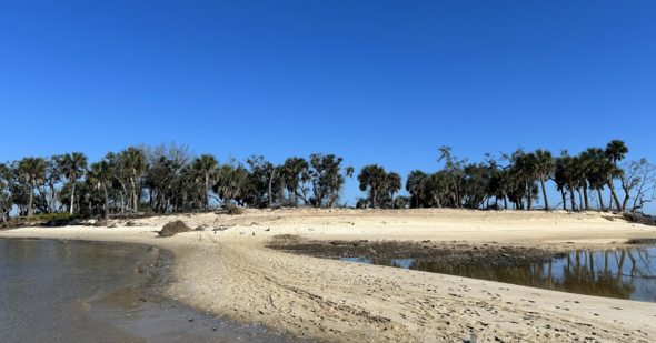 Cotton Island after house removal