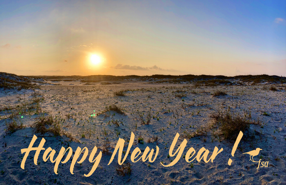 Happy New Year from FSA