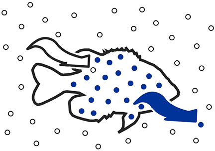 Freshwater fish diffusion