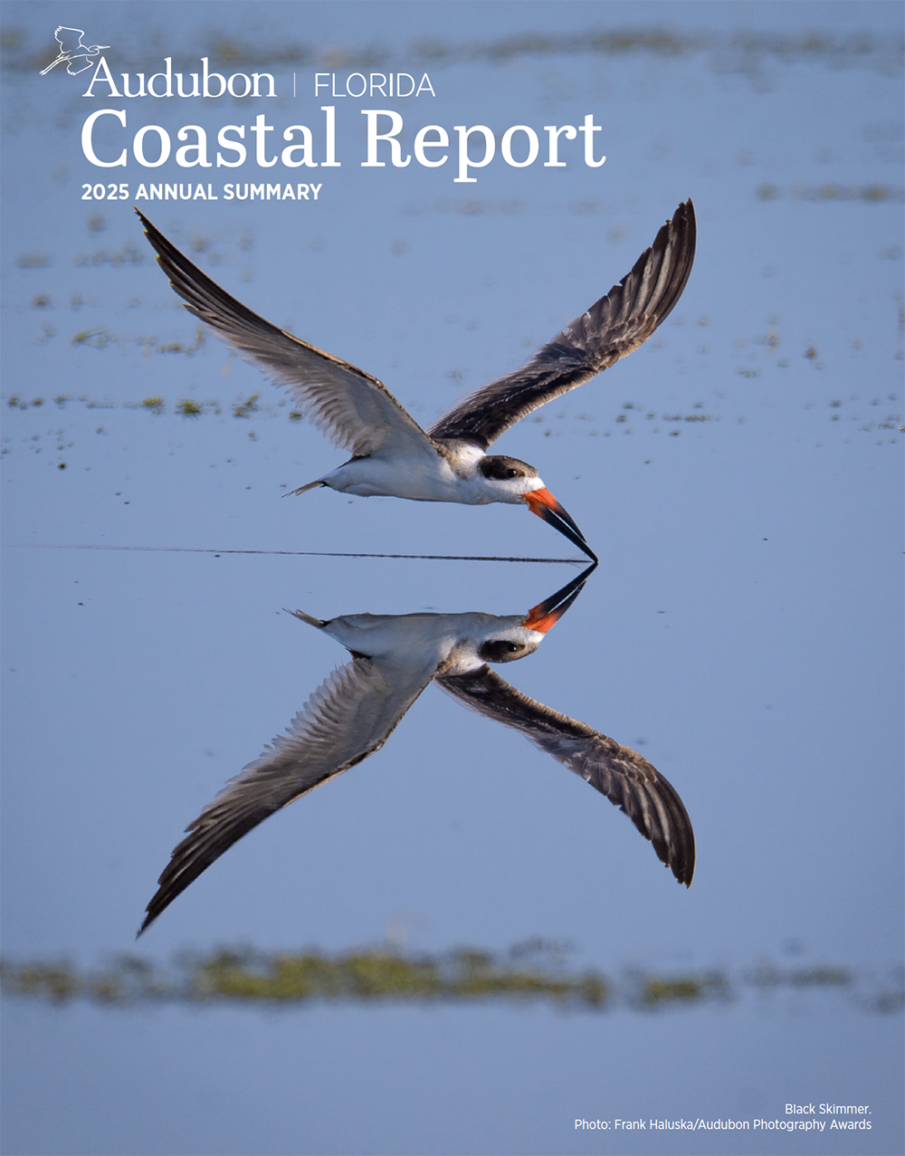 Audubon Coastal Report 2025 Cover photo