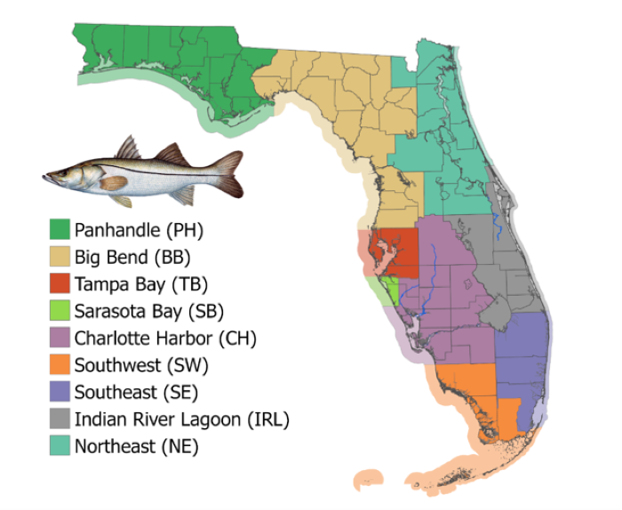 Snook map Florida snook season boundaries map