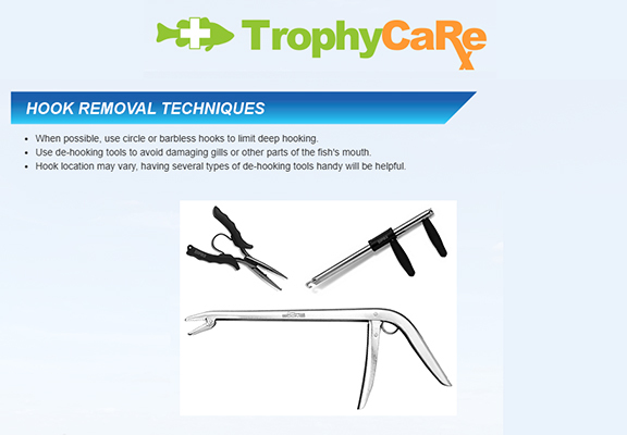 TrophyCare website