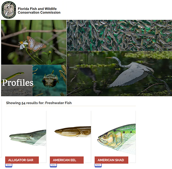 Species Profile page showing various animal photos and fish profiles