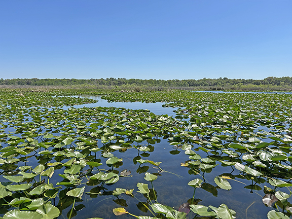Orange Lake