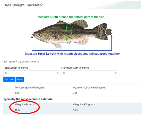 FWC Bass Weight Calculator webpage