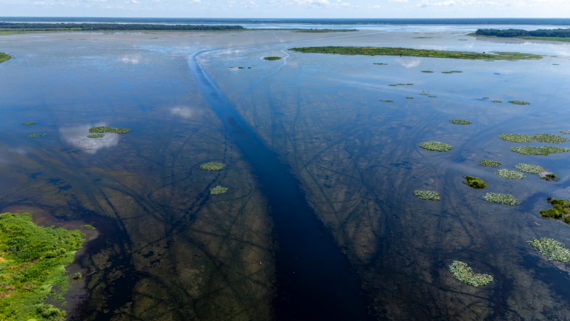 Drone view of McIntosh Bay in Orange Lake