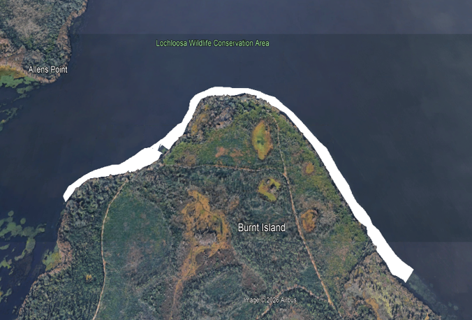 Map of recent hydrilla treatment are at Burnt Island on Lochloosa Lake