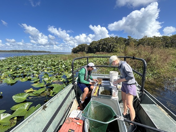 Fish community sampling on Lochloosa Lake