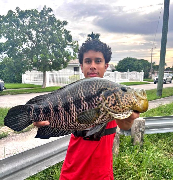 Angler Xzavier Peon holds the new jaguar guapote state record, photo by Carlos Cuenco.