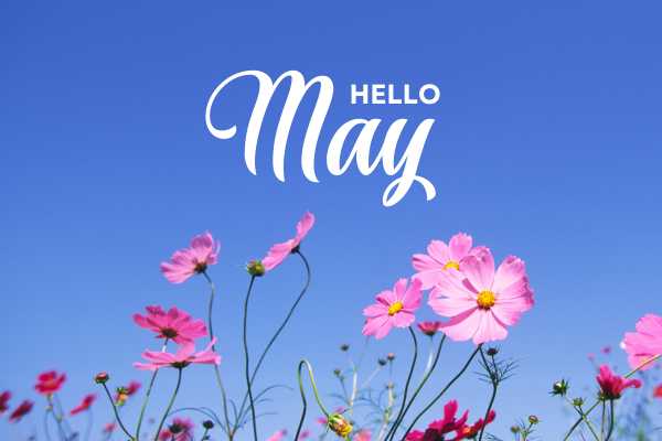 hello may image with may flowers