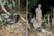 Rauney Mitchell bald eagle save