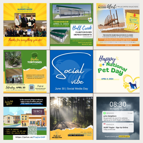 graphic for social media day