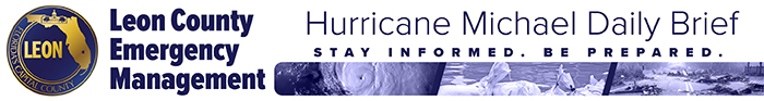 Hurricane Michael Daily Brief