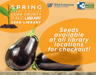 Spring Seed Library 2020