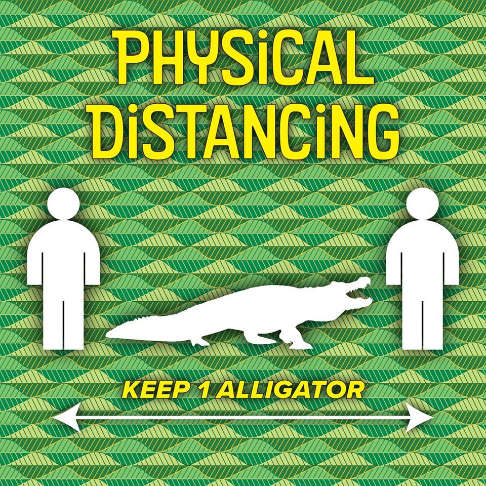 Physical Distancing Gator Graphic