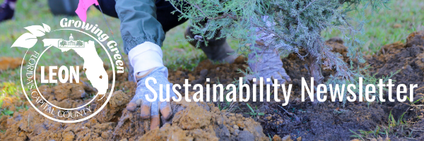 Sustainability Newsletter