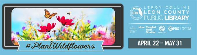 PlantWildflowers