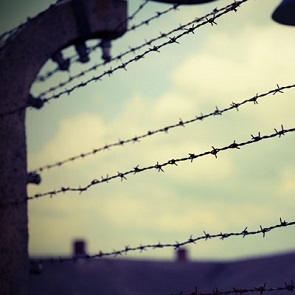 concentration-camp-barb-wire-1-1-r