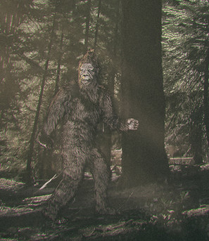 Illustration of Big Foot