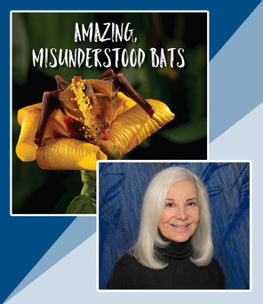 Author Marta Magellan