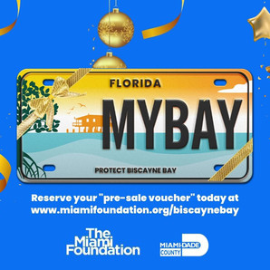 Biscayne Bay License Plate