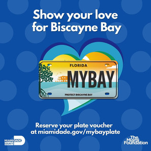 Show your love for Biscayne Bay