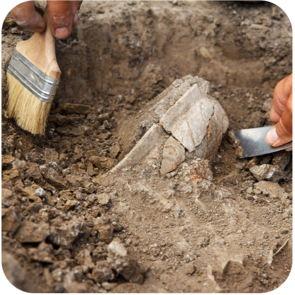 Archaeology Adventure