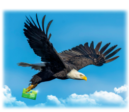 A bald eagle with a library card clutched in its talons, soaring through a clear blue sky.