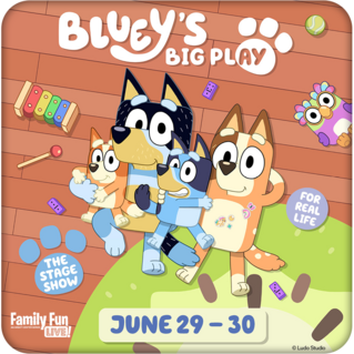 Bluey’s Big Play