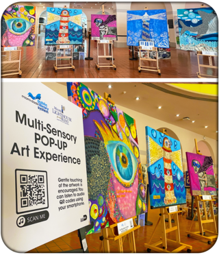 It's Possible to See Without Sight