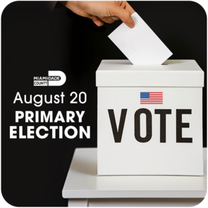 August 20 Primary Election