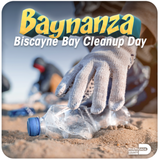 Man cleaning up litter on the beach