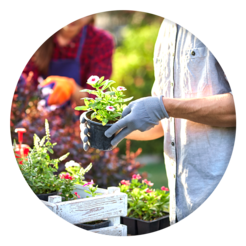 Landscaping