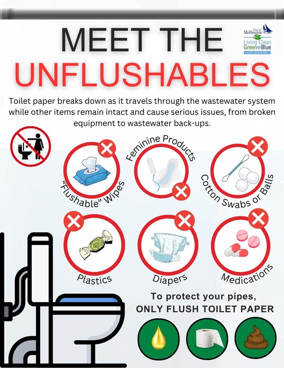 A picture of unflushable items and what can be flushed