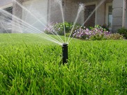 Sprinkler watering grass