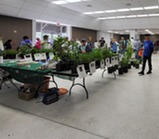 plant sale in the Melbourne Auditorium