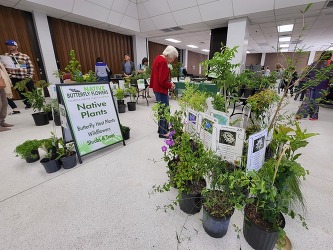 plant sale