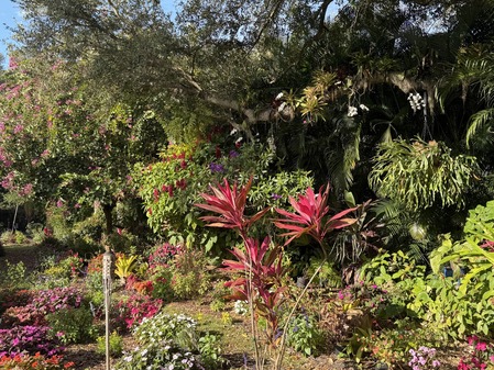 Picture of a backyard landscape