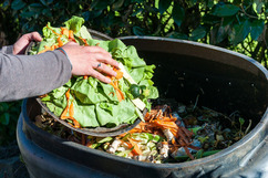 a hand pushing lettuce and other vegetables off a plate into a compost bin