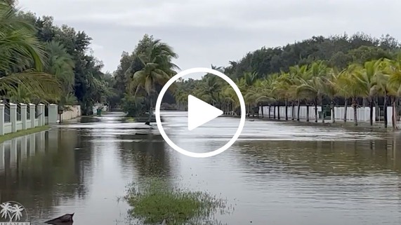 Flood Prevention Thumbnail