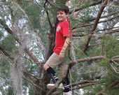 A young resident climbs a tree at the Go Green with Parks event