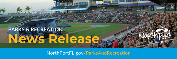 Freedom Festival Image of stadium