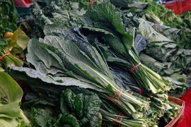 Ninth Annual Collards Festival & Winter Garden Expo